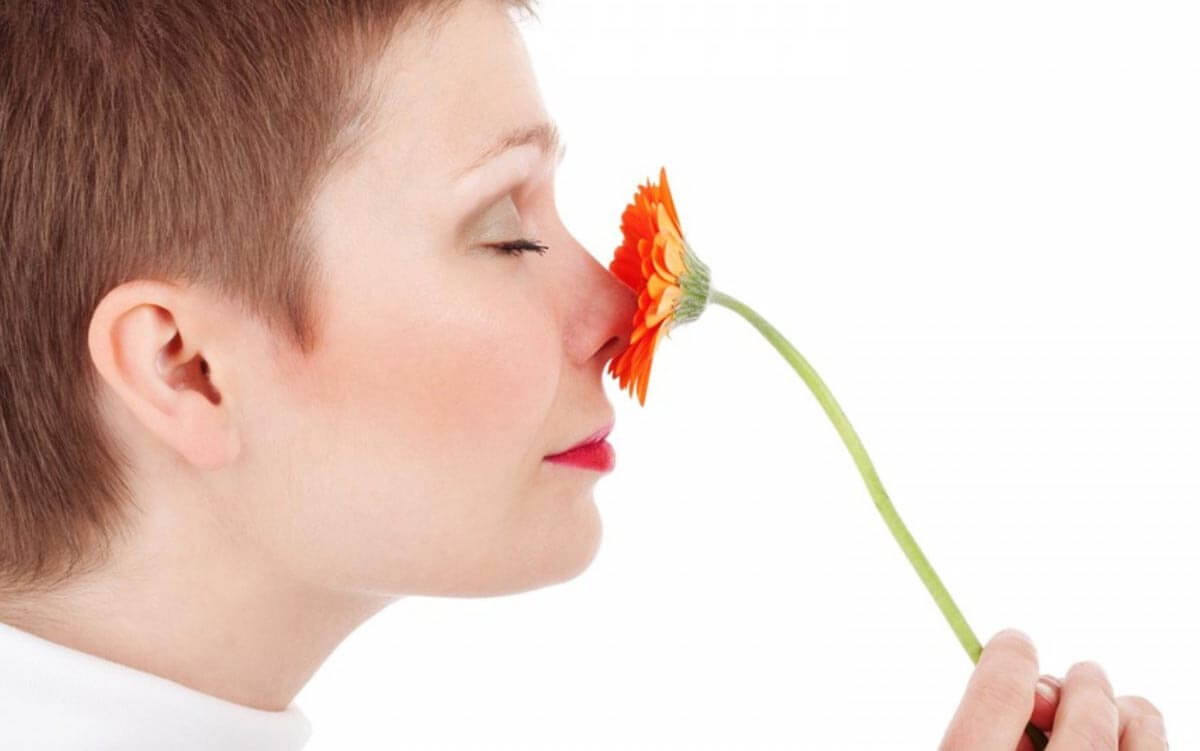 Predavanja in delavnice z Lone Sorensen